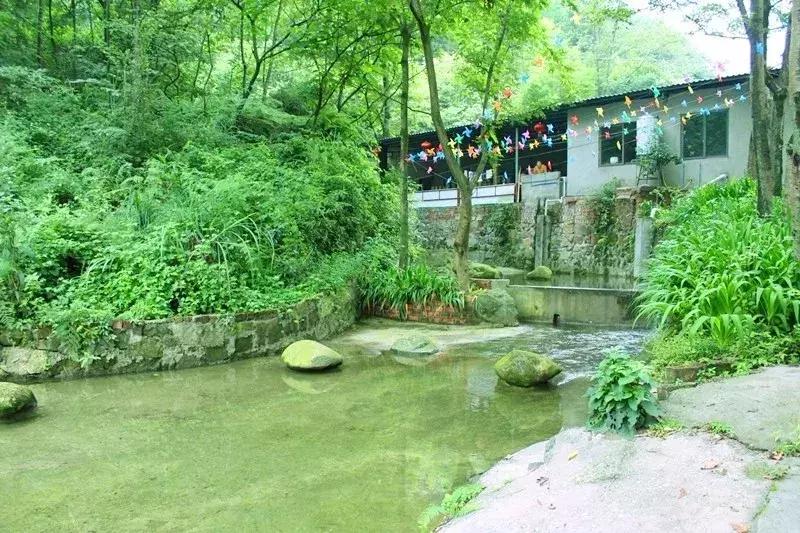 成都周边小众森林秘境,成都周边有山有水还免费的地方