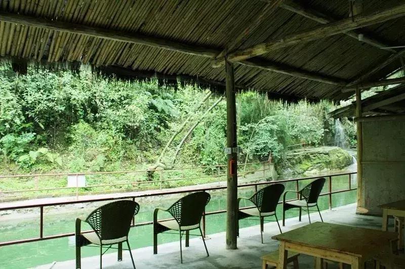 成都周边小众森林秘境,成都周边有山有水还免费的地方