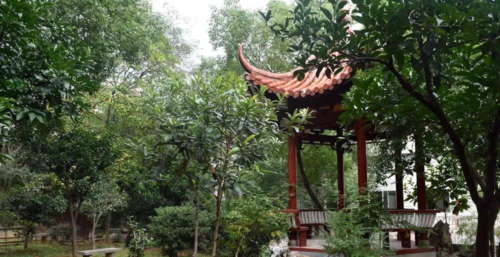 江苏省孩子高考超一本线120分,孩子高考成绩高出二本线10分