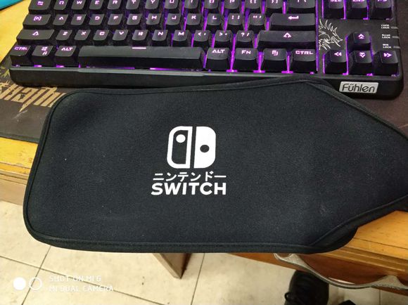 ns有什么必买的配件,新手小白入ns该怎么玩