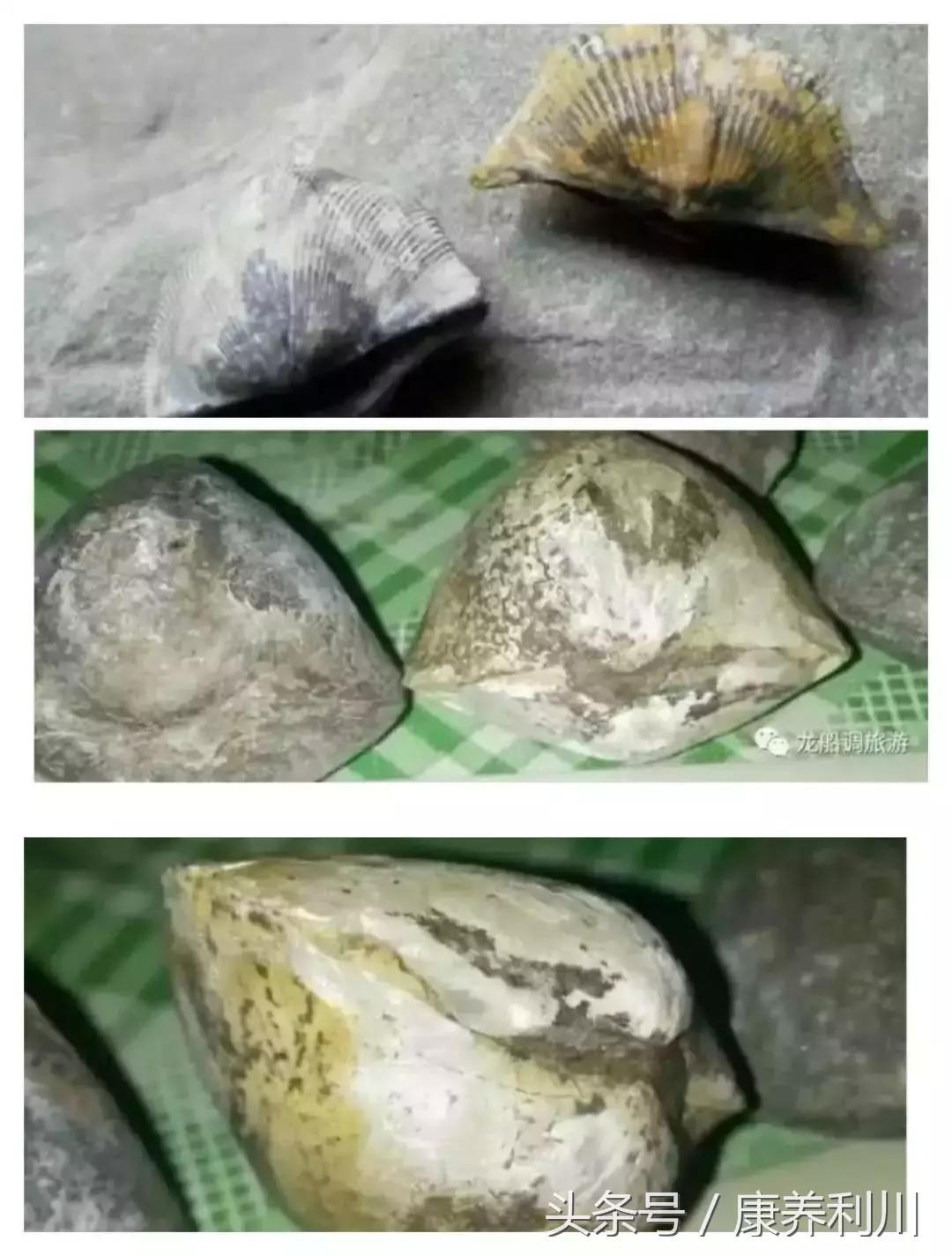 鄂西大山深处特色魅力小镇，生态小镇～沙溪