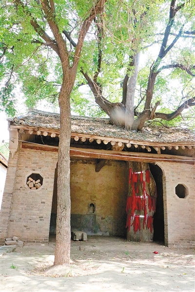 黄河岸边八堡,相里堡黄河滩能进去不