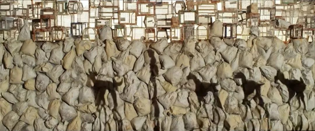 爱狗人士看的电影,爱狗人士必看的6部温情日本电影