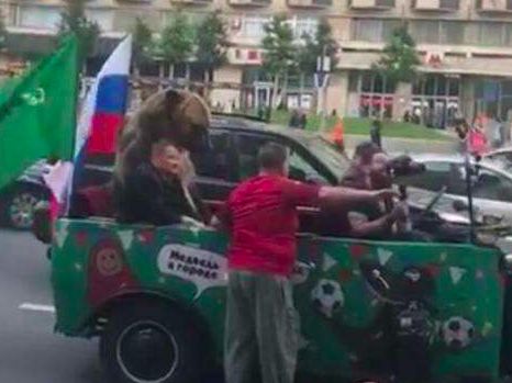 戏精频现！世界杯才是最大秀场