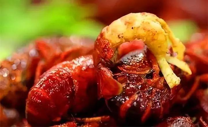 益阳的特产美食有哪些,益阳土特产有哪些吃的