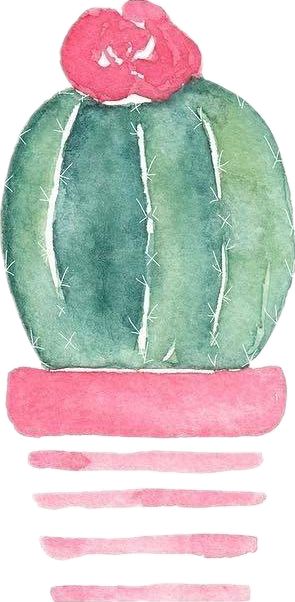 确认过眼神是打不过的人,确认过眼神打不赢的人