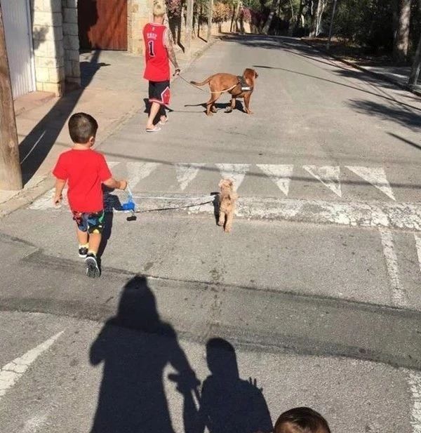 世界杯德国最美太太团,世界杯四强最美太太