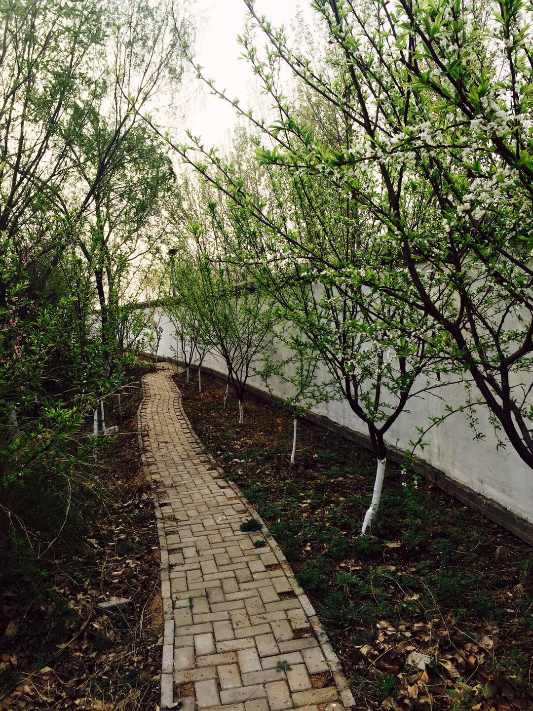 只知道北戴河？快来看看东戴河周恭府度假村-未被世人发现的海滨