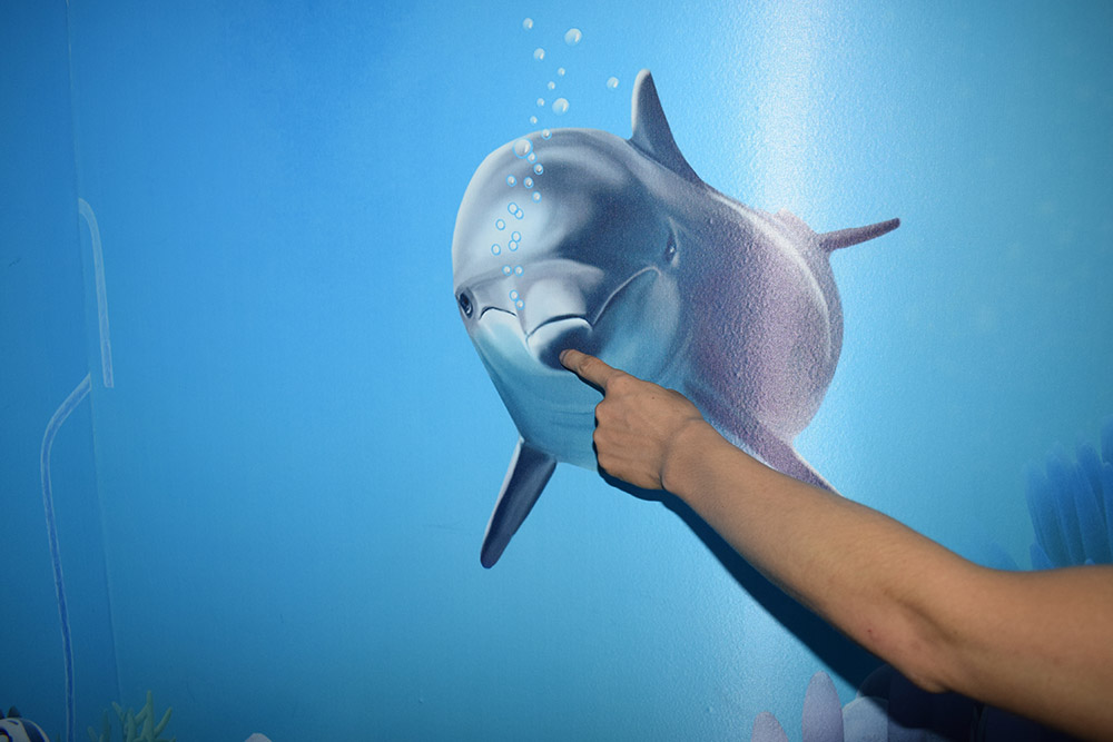 来海口吃羊肉,海南地道东山羊