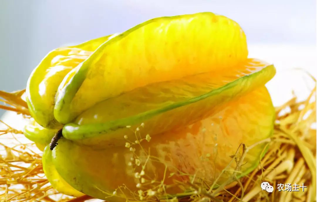 农村建冷库国家补贴政策,想在农村建个冷库需要什么手续