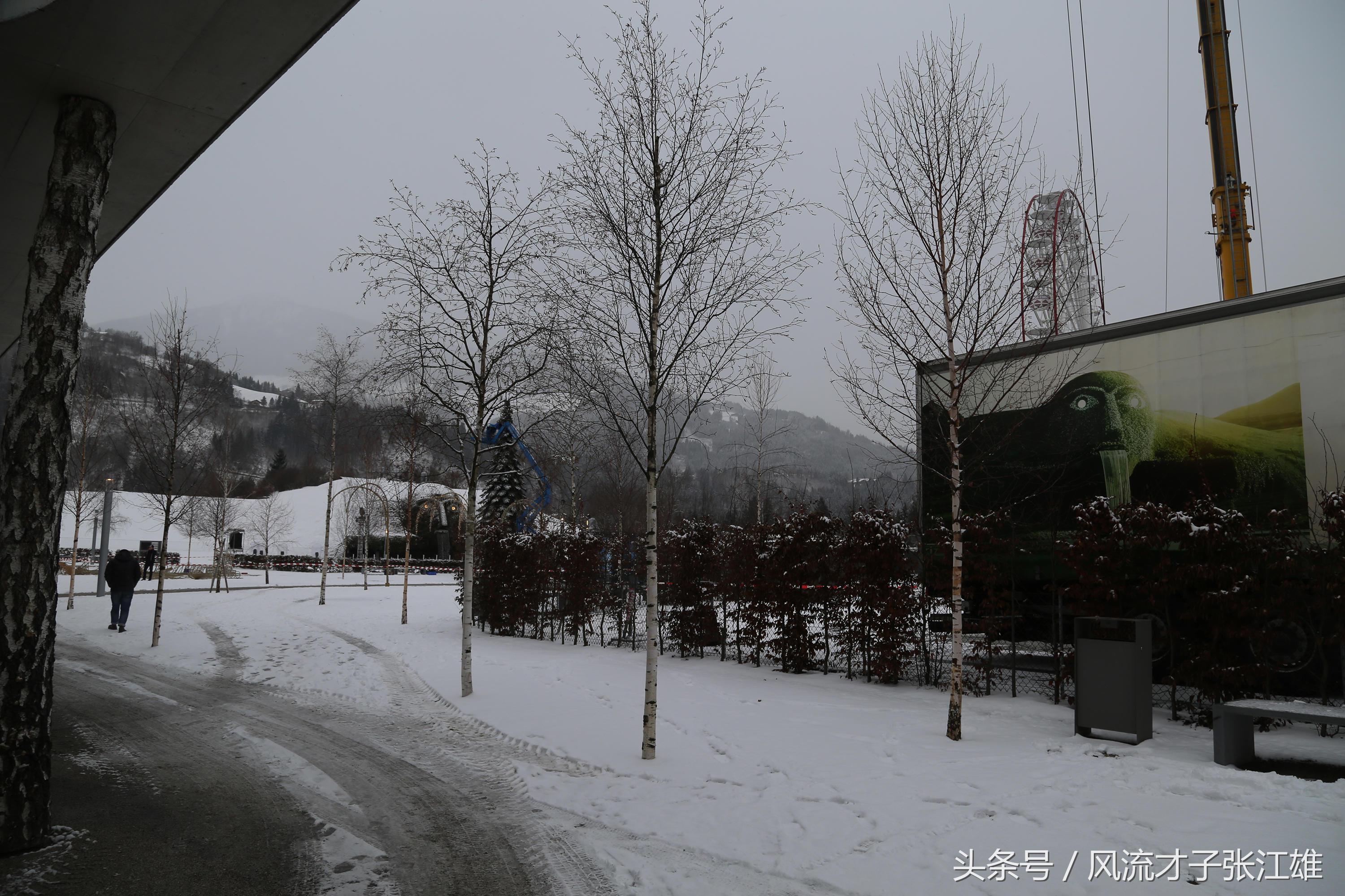 奥地利街拍：施华洛世奇水晶世界，白雪覆盖下的阿尔卑斯山巨人！