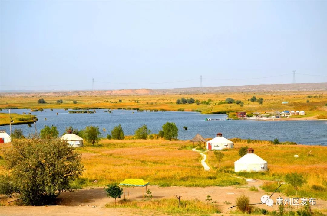太迷人了！肃州区的这幅生态画卷越绘越美丽！