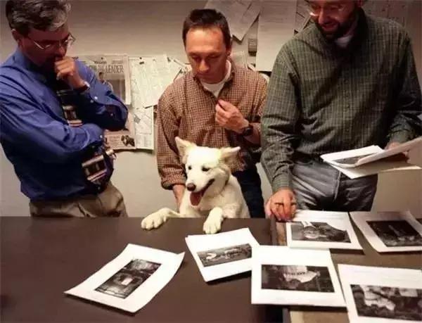 “带狗上班日”这只警犬就带着它的宠物狗狗来上班了……