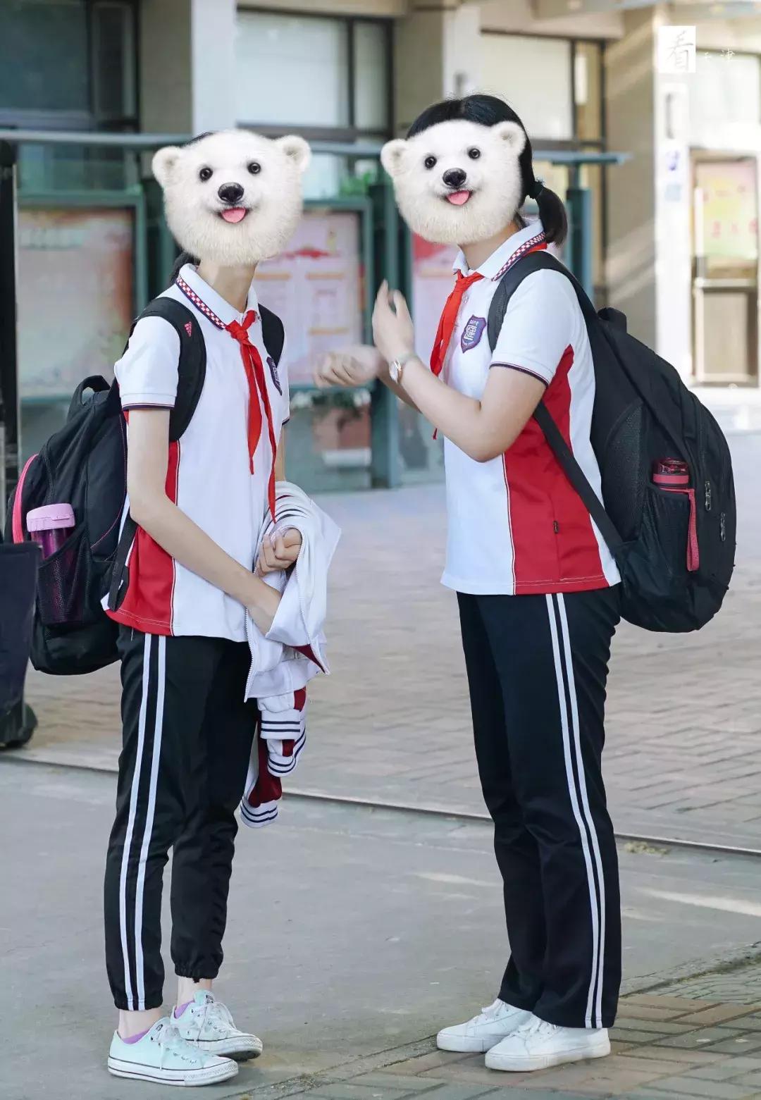 天津各学区的校服,天津市各个学校校服