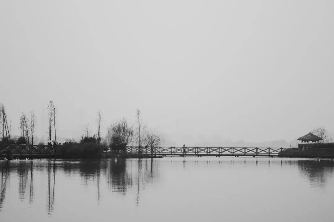 无限风光在险峰古诗,无限风光在险峰另一首诗