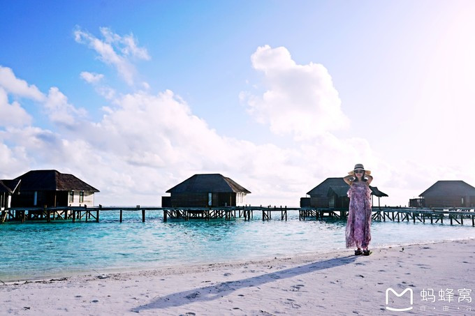 马尔代夫蝴蝶岛,马尔代夫港丽岛属于几星岛