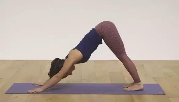 收腹每天必练8个动作,最瘦小腹的燃脂动作