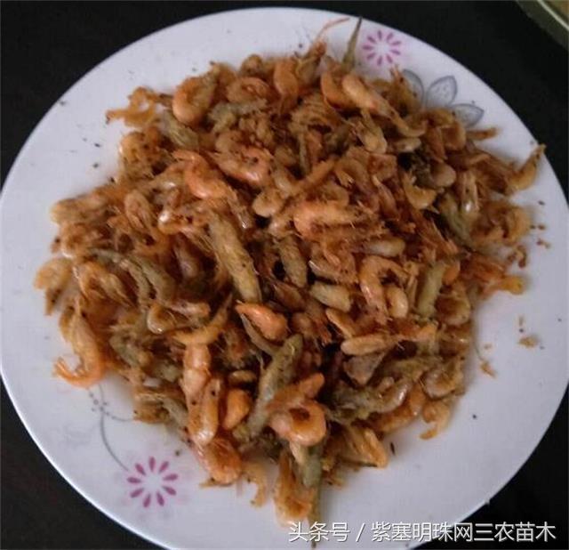 梨木台古树农家院,蓟县梨木台兴业缘农家院