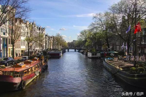 这个人均咖啡4杯的国家，除了梵高郁金香，有哪些咖啡馆值得逛