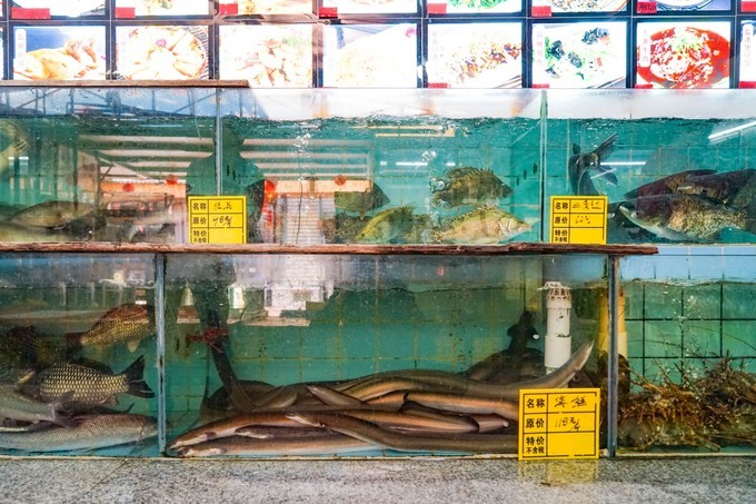 广东顺德美食旅游攻略学生,顺德自驾这份美食攻略要收好