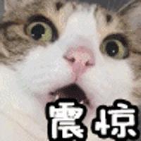 人在江湖飘，哪能没大招？齐翔腾达的独门武功了解一下