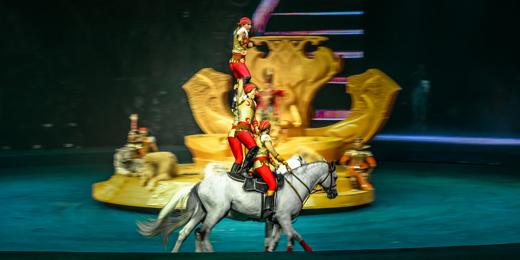 长隆大马戏飞鸟乐园,长隆梦幻大马戏儿童乐园