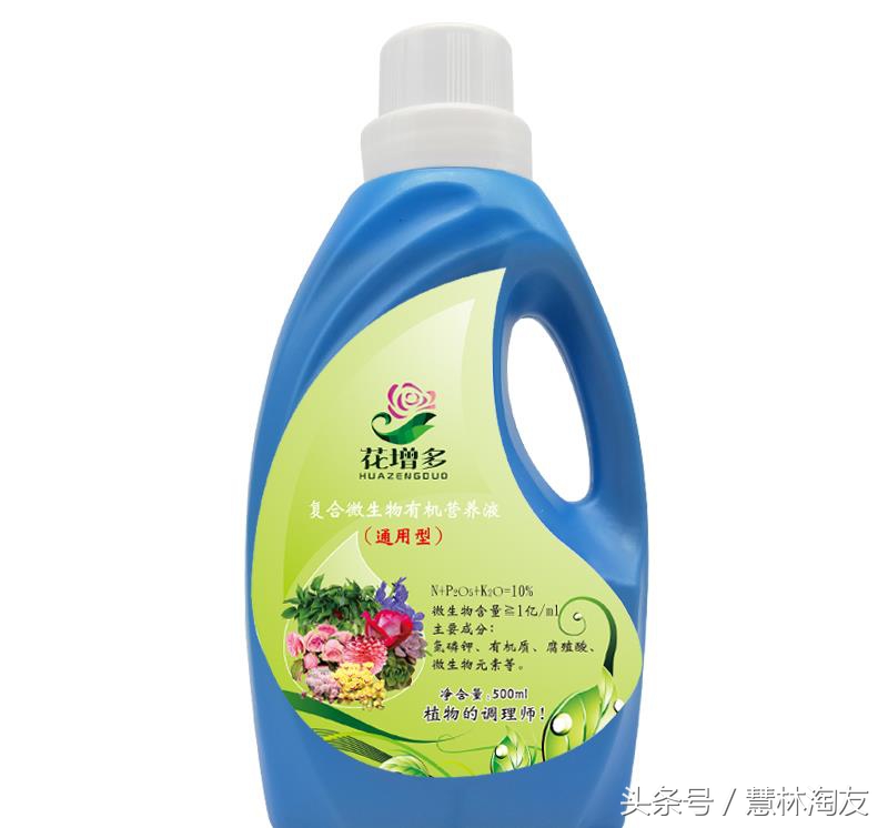 茉莉红蜘蛛用什么药最有效,茉莉生红蜘蛛用什么方法