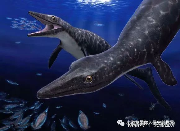 在日本发现的恐龙化石,史上最完好的恐龙化石