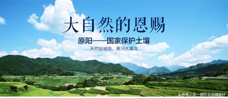 中国第一米原产地原阳大米,中国好大米品牌