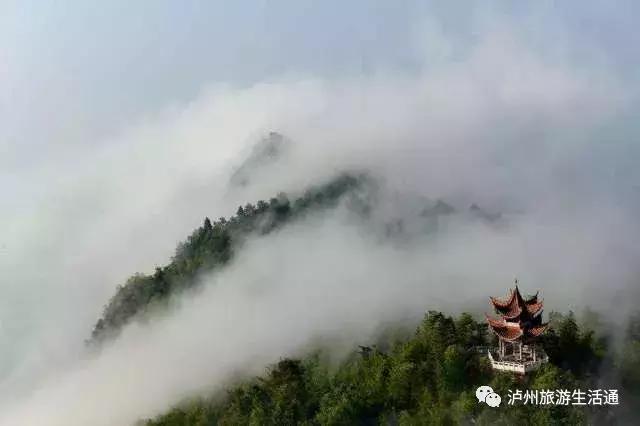 首批省级生态园林城市(县城)叙永上榜!都来看看它有啥“绝招”~