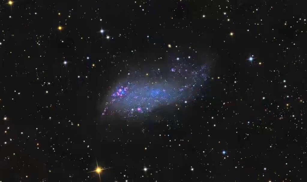 12星座女深度分析,12星座世界杯表现如何