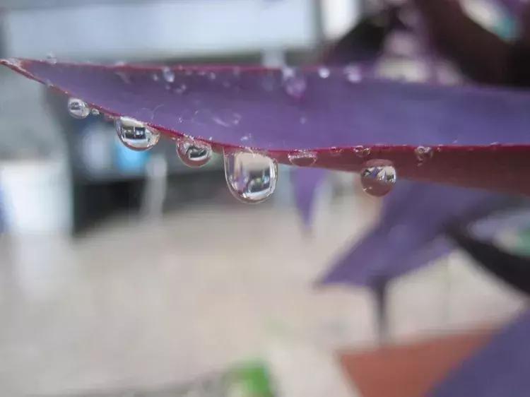 这个夏天我在武穴，你在哪里？