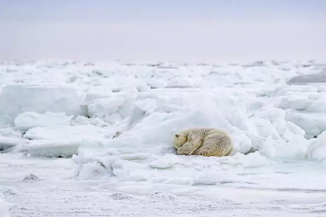 秋季旅行大片,旅行摄影大片有哪些