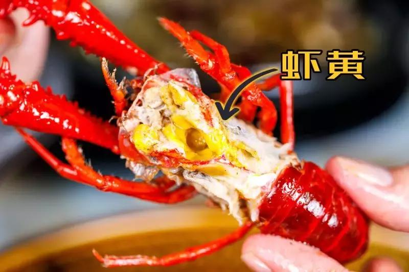 天津人都在疯传的看球基地!买大送小,简直不要太划算!