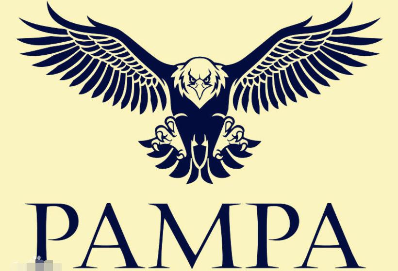 潘帕斯雄鹰世界杯阵容,潘帕斯雄鹰是哪个国家足球队