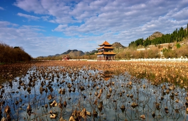 荷城往事电影,荷城往事全集