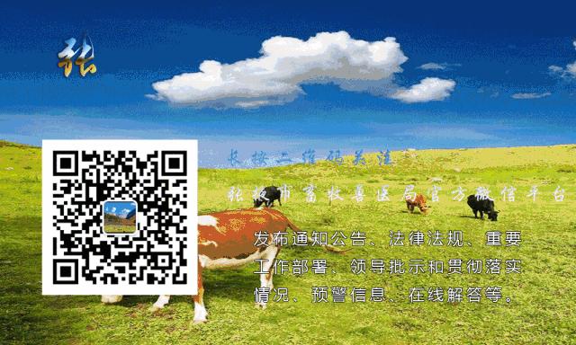 羊误食塑料薄膜的救治方法,羊误食包衣玉米种子怎么办