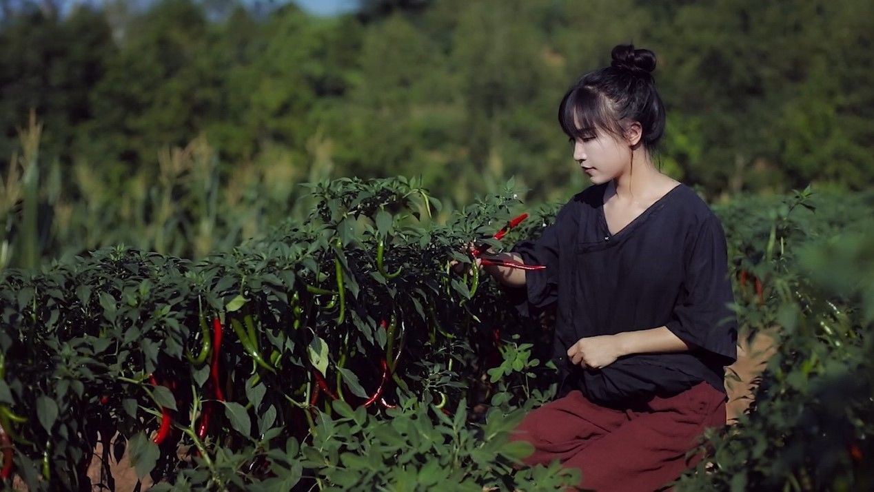 观《小森林》，怎样才能更好的生活