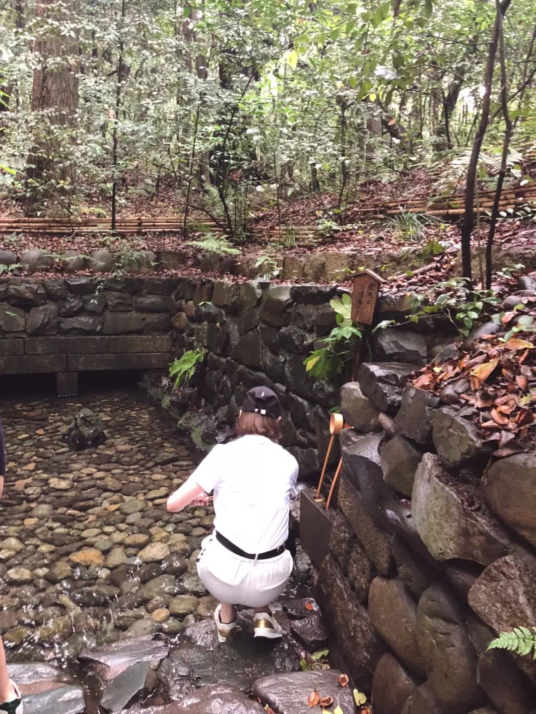 名古屋可以去哪里旅游,名古屋还能去吗