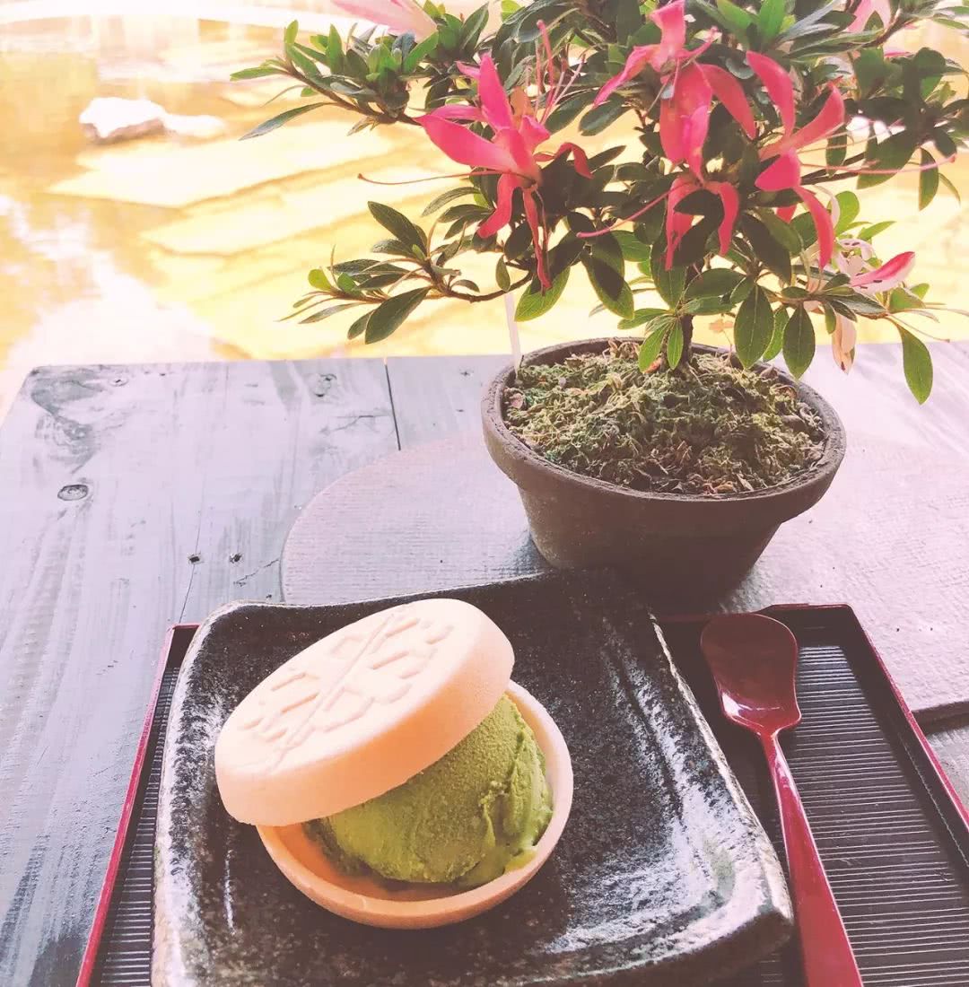 名古屋可以去哪里旅游,名古屋还能去吗