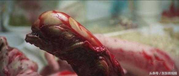 异形大战铁血战士进化史,异形起源异形进化史