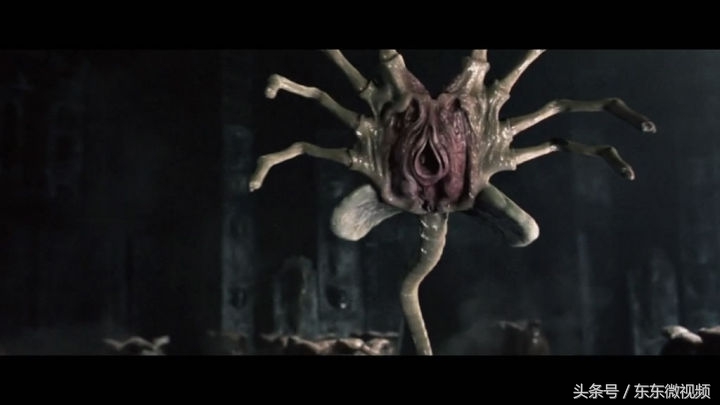 异形大战铁血战士进化史,异形起源异形进化史