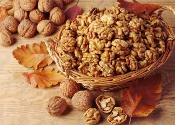 农村小本养殖创业项目大全,项目致富