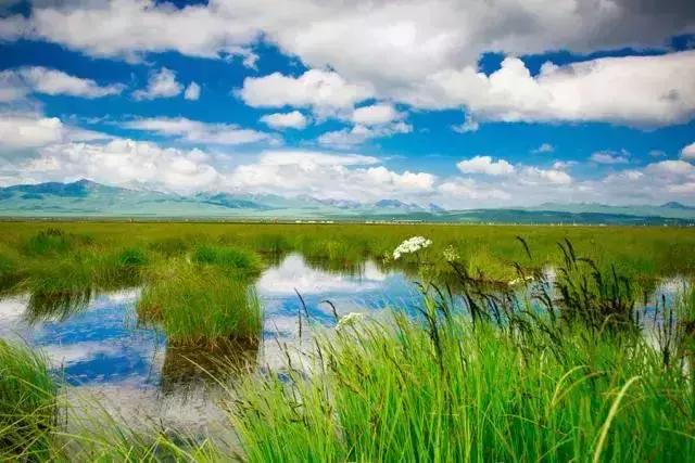 成都地点好点价格便宜点的民宿,成都周边避暑民宿独立院子