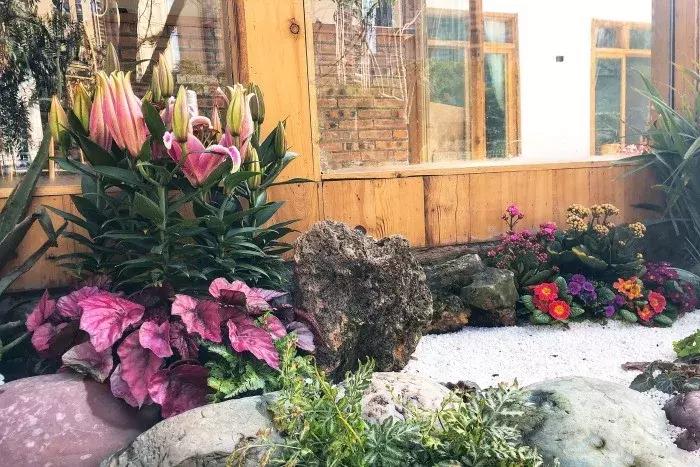 成都周边民宿独立院子僻静,成都周边深山民宿