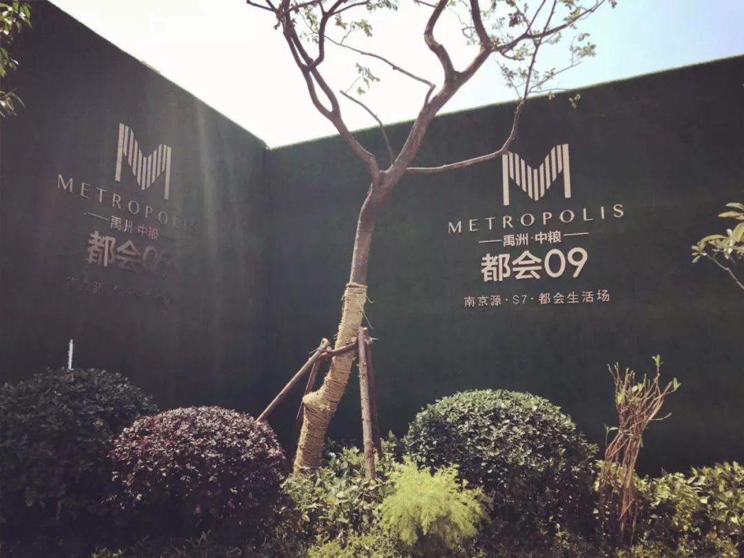 溧水城中新楼盘,溧水区楼市