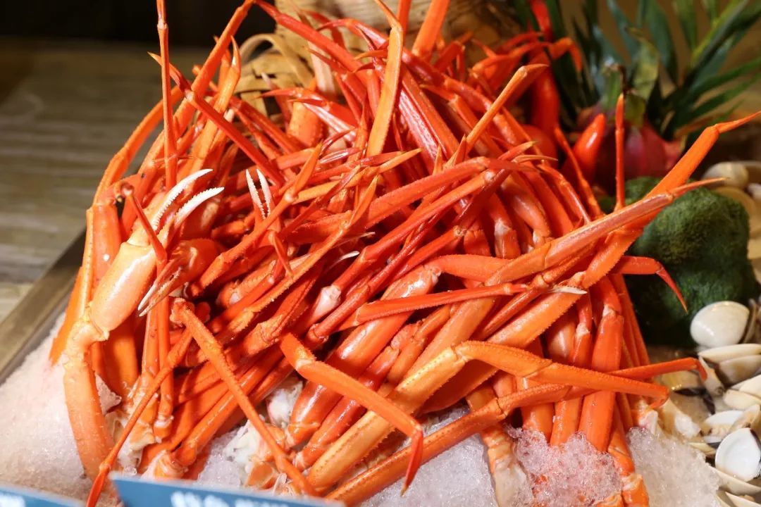 东莞是人间天堂,东莞欢笑乐园