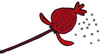 国际禁毒日有自愿戒毒还有什么,国际禁毒日的毒品的危害