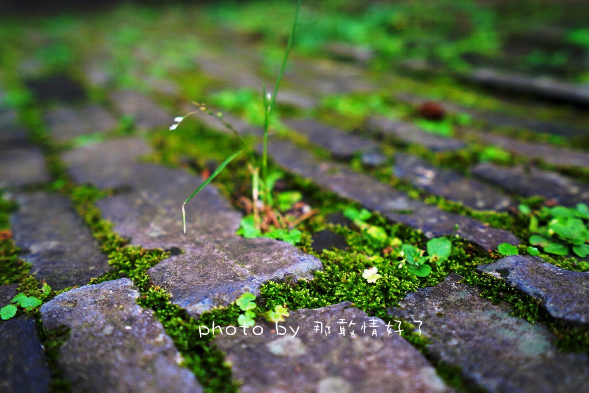 滁州小众的地方,滁州小众