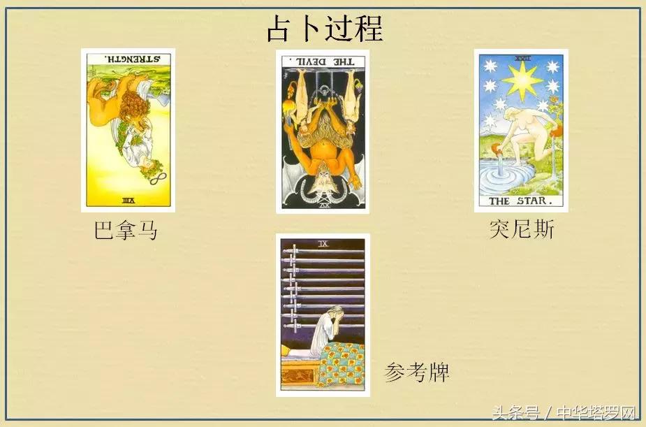 日本vs比利时世界杯前瞻,26日世界杯荷兰vs沙特预测